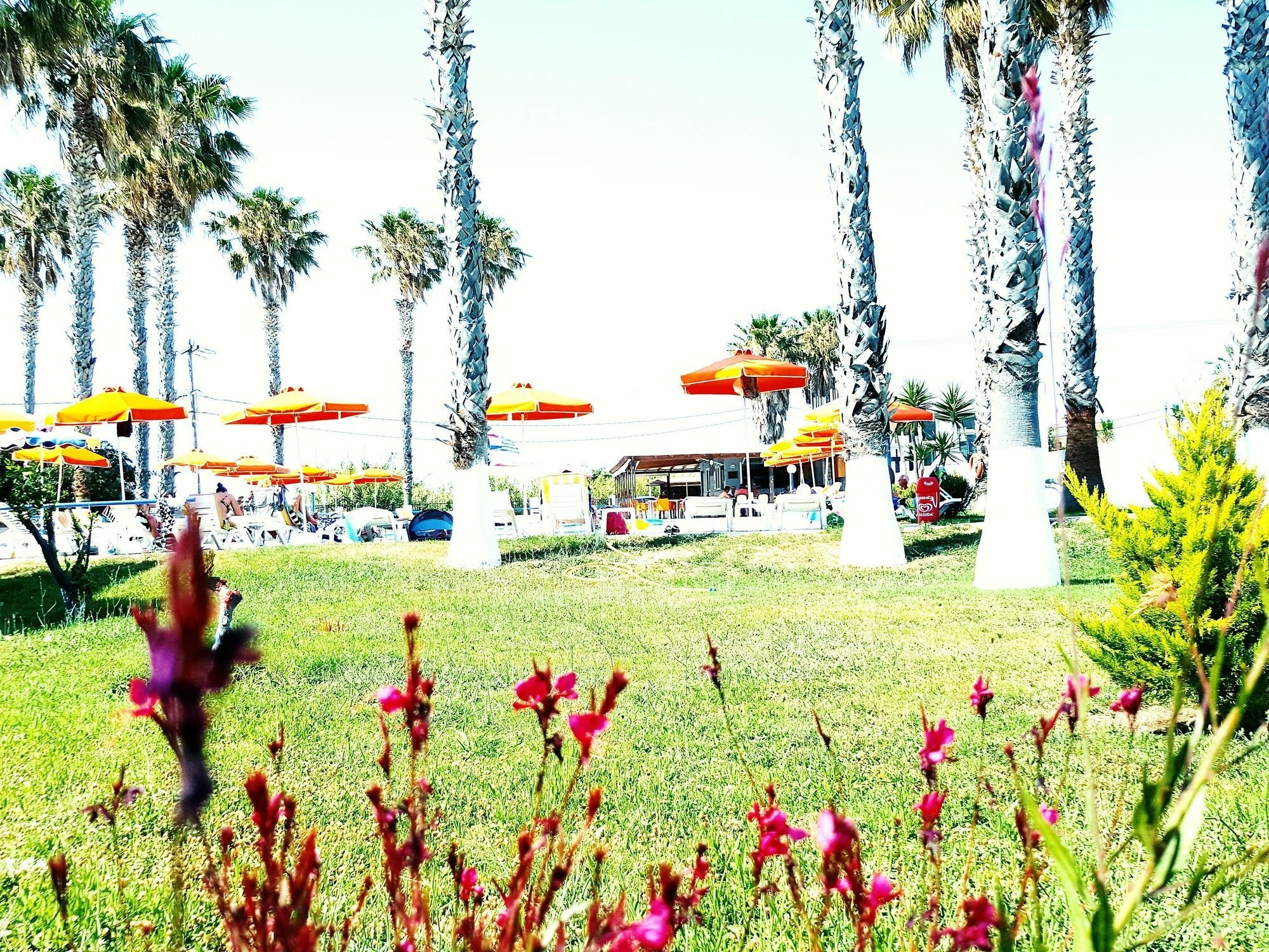 Athina Apartments And Bungalows Kos Town Exterior photo